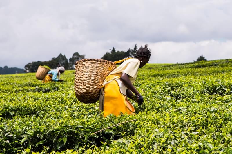 Turning Weather into Opportunity: Using Weather-of-Things Data to Create Pathways from Poverty to Prosperity