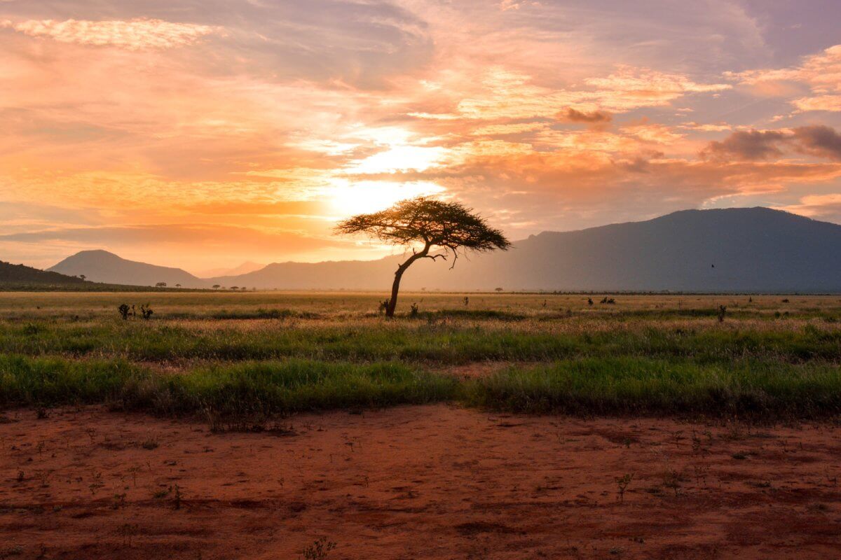 We Need to See the End of Famine In Our Lifetimes. Here is How The Weather Industry Can Help