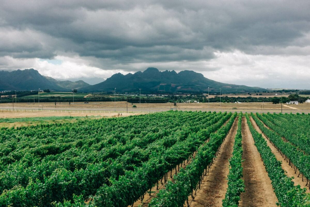 From Seed to Harvest: How Innovative Weather Forecasting Technologies Will Strengthen Every Aspect of the Farming Life Cycle