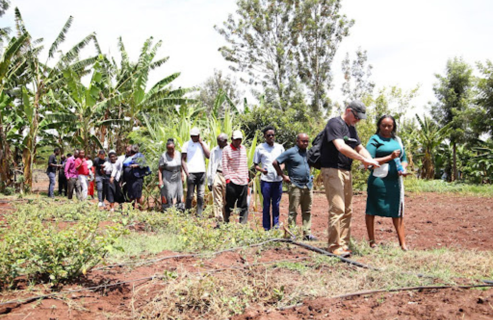 TomorrowNow Engages Smallholder Farmers and Key Stakeholders in Kenya