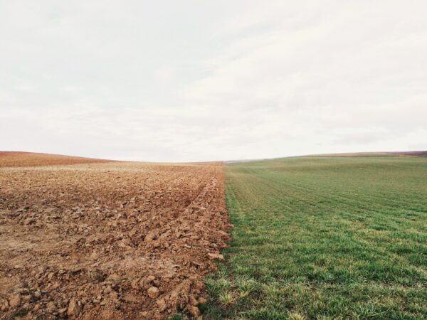 A picture of farmland. Half the land is dry and dirt, and the other half is green grass. Climate AI can help combat these changes. 