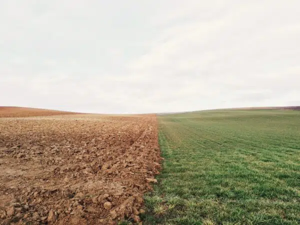 A picture of farmland. Half the land is dry and dirt, and the other half is green grass. Climate AI can help combat these changes. 