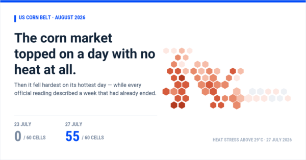 The corn market topped on a day with no heat at all — a hex map of the US Corn Belt showing 55 of 60 production-weighted cells above the 29°C heat-stress threshold on 27 July 2026