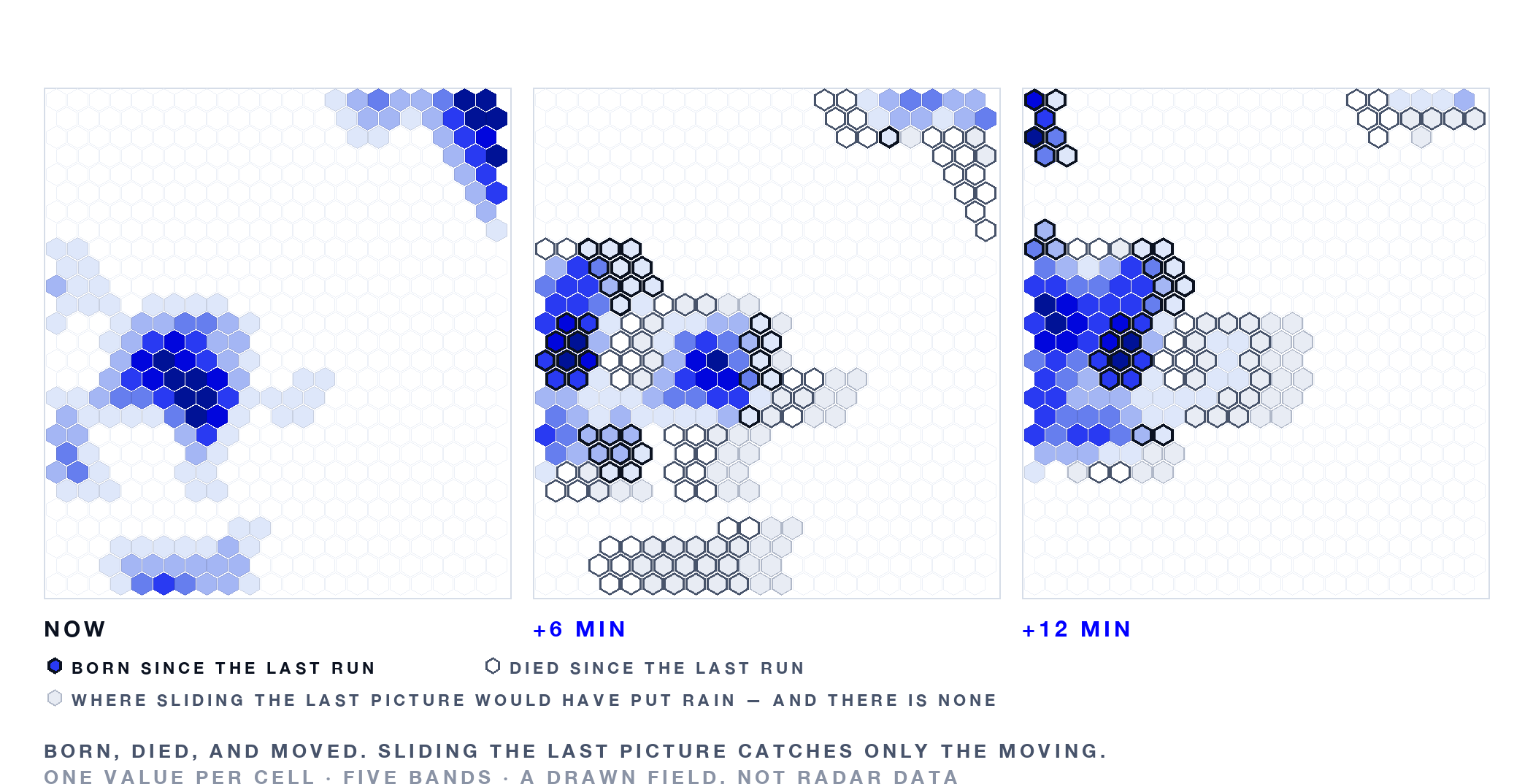 Three hex-grid panels six minutes apart. In the later two, cells born since the last run are ringed, cells that died are outlined empty, and grey hexes mark where sliding the previous picture forward would have put rain that is not there.