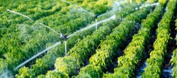 Irrigation