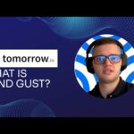 What Is Wind Gust?